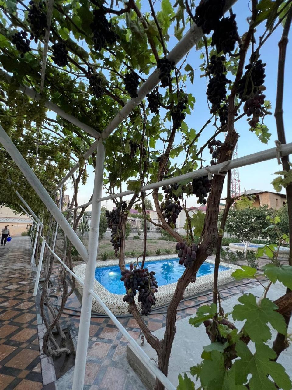 Samarabonu Hotel Samarkand Bagian luar foto
